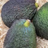 Aguacate Lamb Hass – 1 Kg / 2,5 Kg / 4 Kg