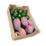 Caja Duo «BACOSTEEN TROPICAL» 4Kg