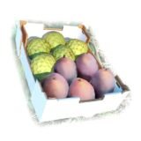 Caja Duo «CHIRIOSTEEN TROPICAL» 4Kg