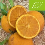 Naranja BIO – 1 Kg / 2,5 Kg / 4 Kg