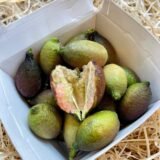 Lima Caviar – 200 GRS. / 500 GRS. / 1 Kg