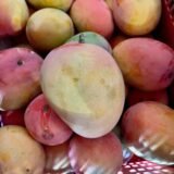 Caja Mango Tropigold – 1 Kg / 2,5 Kg / 4 Kg