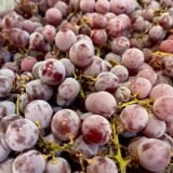 Uva Rosa de Fresa – 1 Kg / 2,5 Kg / 4 Kg