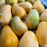 Caja Ataulfo – 1 Kg / 2,5 Kg / 4 Kg