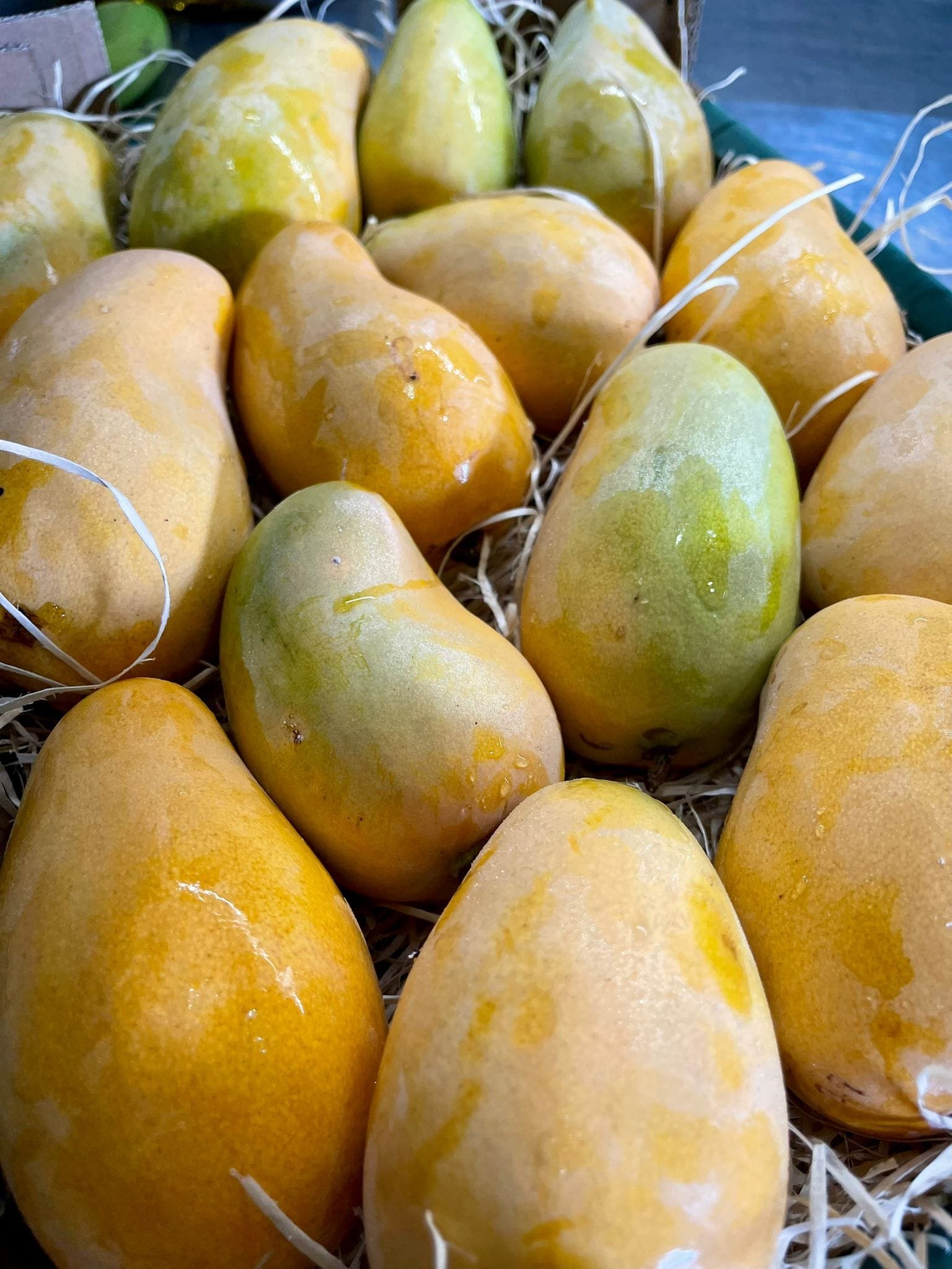 Caja Ataulfo – 1 Kg / 2,5 Kg / 4 Kg