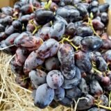 Caja Uva Autumn Black – 1 Kg / 2,5 Kg / 4 Kg