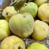 Caja Membrillo – 1 Kg / 2,5 Kg / 4 Kg