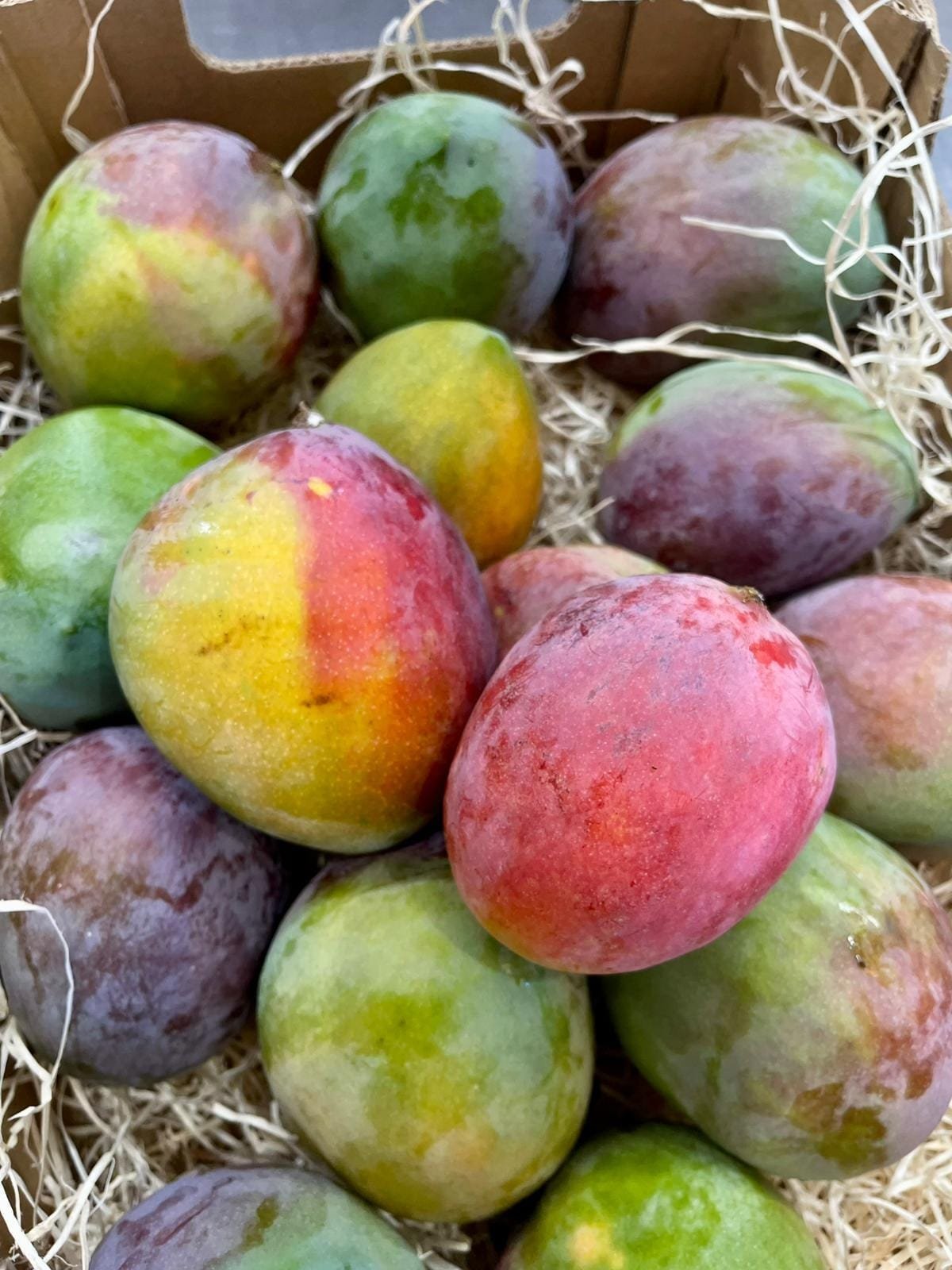 Caja Mango Sensación – 1 Kg / 2,5 Kg / 4 Kg