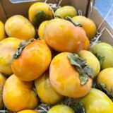 Caja Kaki Fuyu – 1 Kg / 2,5 Kg / 4 Kg