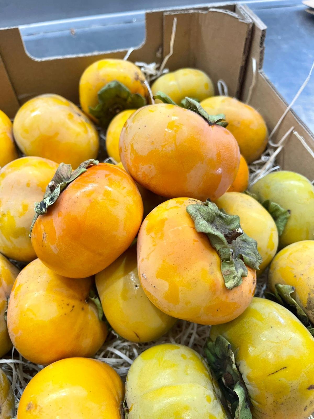 Caja Kaki Fuyu – 1 Kg / 2,5 Kg / 4 Kg