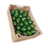 Caja Aguacate Bacon – 1 Kg / 2,5 Kg / 4 Kg