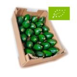 Caja Aguacate Bacon BIO – 2,5 o 4 Kg