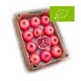 Caja Granada Acco BIO – 1 Kg / 2,5 Kg / 4 Kg