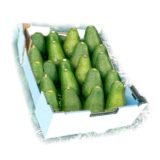 Caja Aguacate Fuerte – 1 Kg / 2,5 Kg / 4 Kg