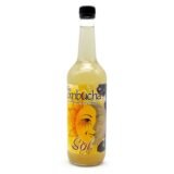 Kombucha Sol BIO (env. 700 ml.)