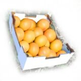 Pomelo Star Ruby – 1 Kg / 2,5 Kg / 4 Kg